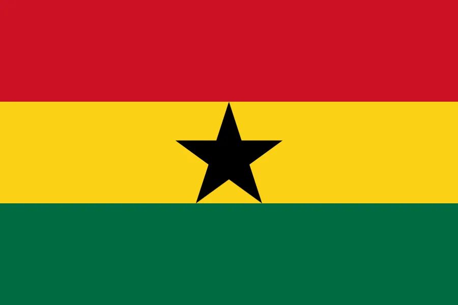 gh flag