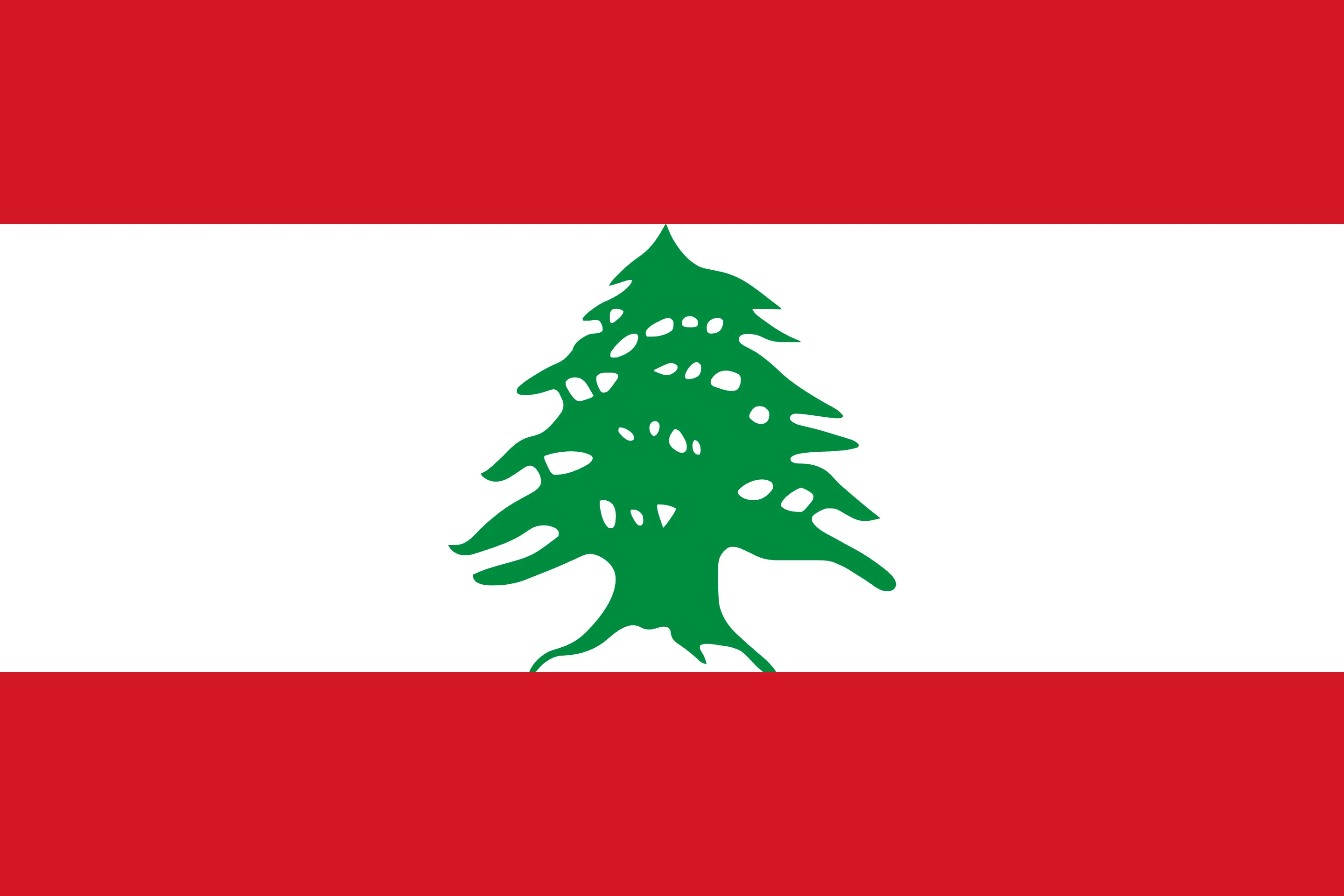 lb flag
