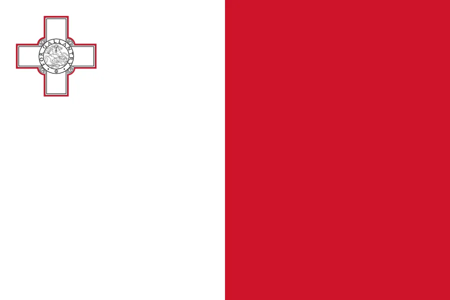 mt flag