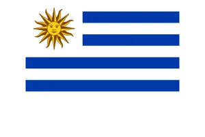 uy flag